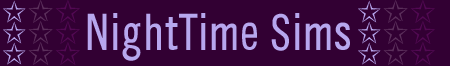 nts_banner.gif